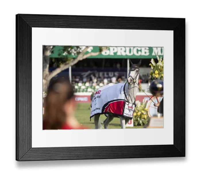 Framed Print : Celebration time for Team Fuchs as he takes a second win in as many years of the CPKC Internation GP at the Spruce Framed Print : Celebration time for Team Fuchs as he takes a second win in as many years of the CPKC Internation GP at the Spruce