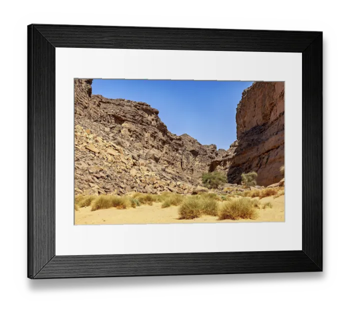 Framed Print : Stony desert landscape with mountain formations and scattered plant growth