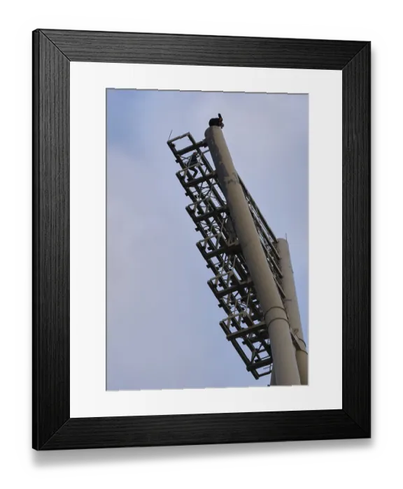 Framed Print : Germany, Berlin, 16.03.2025, Demolition Cantian Stadium
