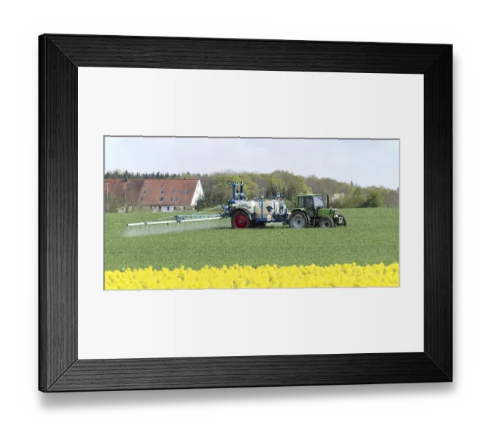 Framed Print : Agriculture, pesticide being sprayed on a field in spring