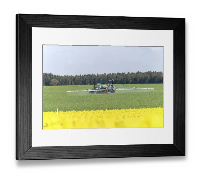Framed Print : Agriculture, pesticide being sprayed on a field in spring Framed Print : Agriculture, pesticide being sprayed on a field in spring