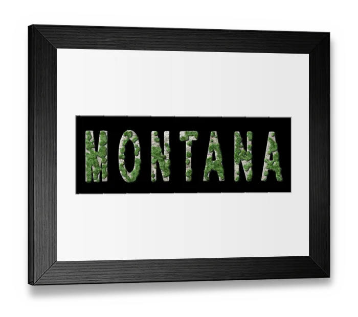 Framed Print : Montana Reforestation and Climate Message Framed Print : Montana Reforestation and Climate Message
