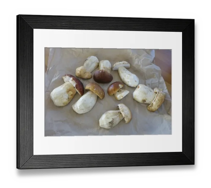 Framed Print : Porcini mushrooms (Boletus), fresh