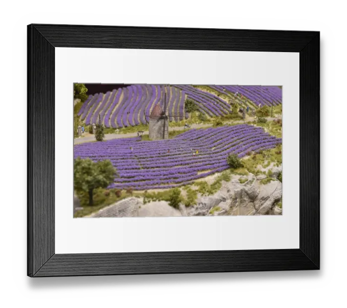 Framed Print : Lavender fields near Senanque Abbey in Miniatur Wunderland Hamburg