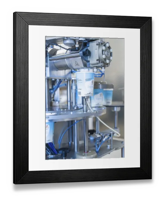 Framed Print : Automatic filling of yoghurt buckets in the factory Framed Print : Automatic filling of yoghurt buckets in the factory