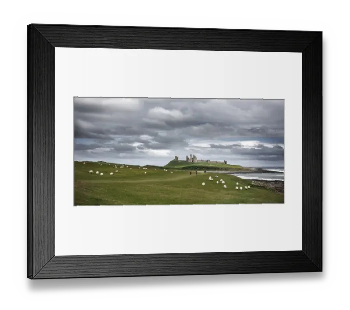 Framed Print : The ruins of Dunstanburgh Castle as seen from Craster along the shoreline of The North Sea