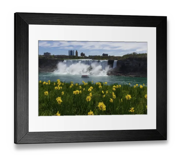 Framed Print : The American Bridal Veil falls visible from Niagara Falls
