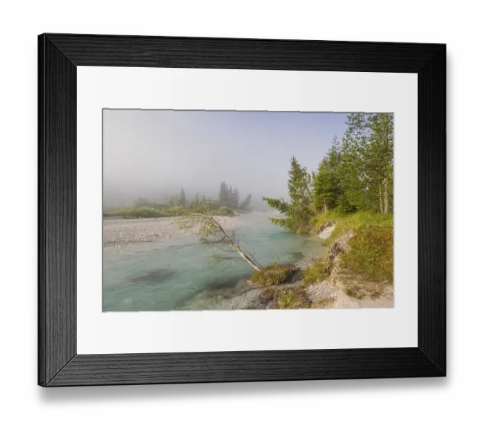 Framed Print : Isar valley nature conservancy area