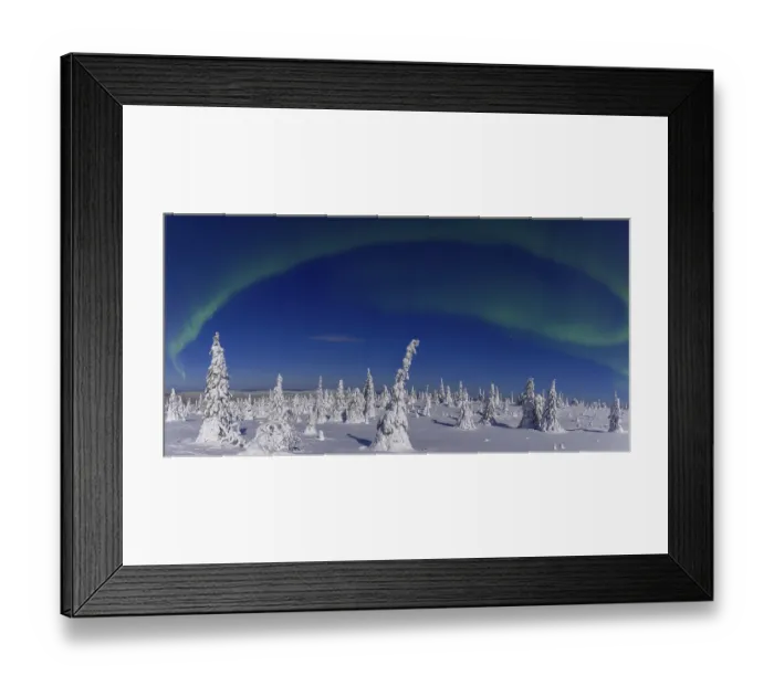 Framed Print : Northern lights, Aurora borealis over snow covered spruce trees on the taiga in winter at night