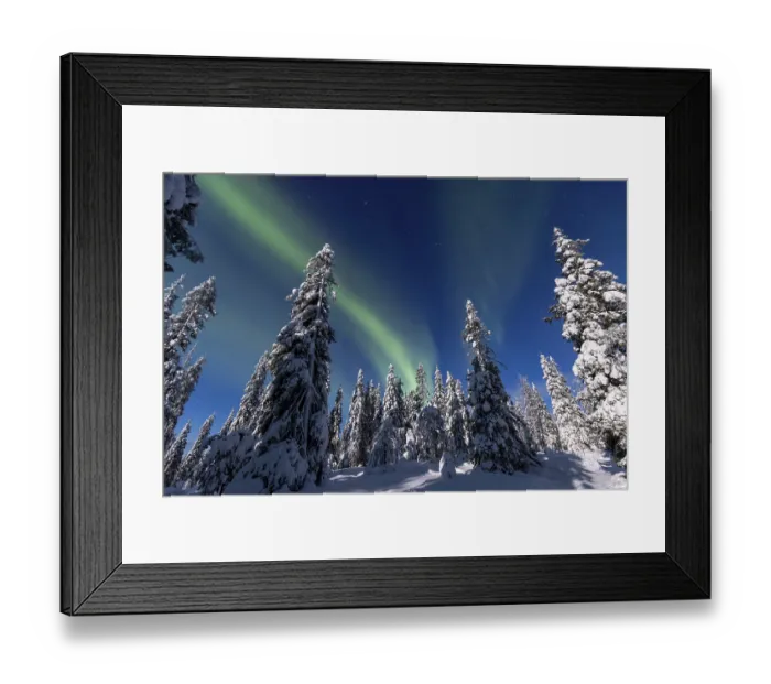 Framed Print : Northern lights, Aurora borealis over snow covered spruce trees on the taiga in winter at night