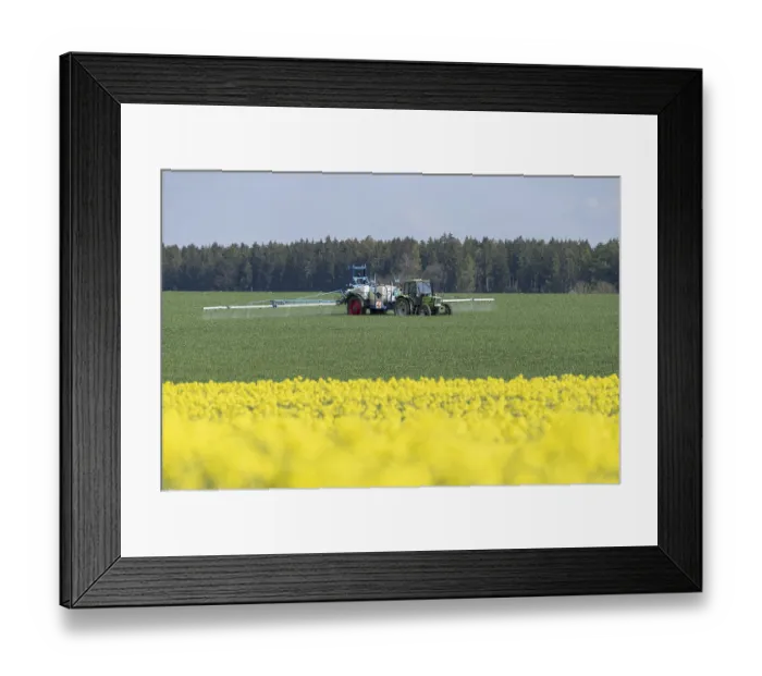 Framed Print : Agriculture, pesticide being sprayed on a field in spring