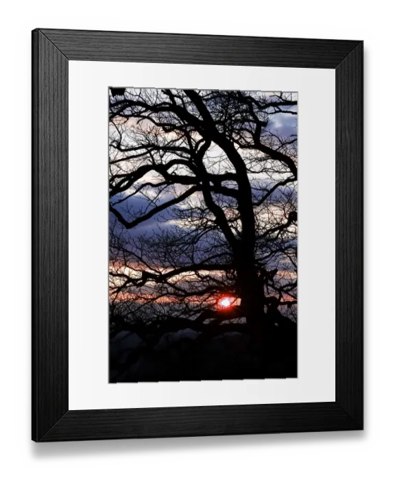 Framed Print : Elbe Sandstone Mountains, Bastei area