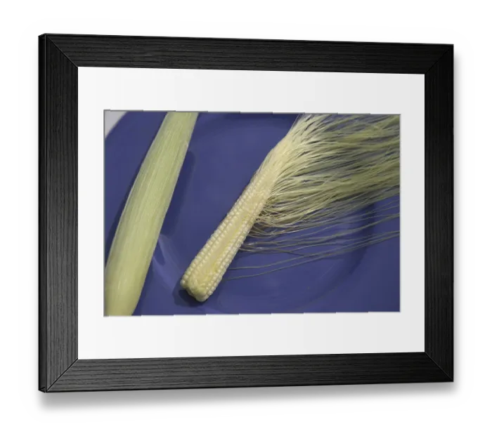 Framed Print : Crop, Baby Corn kept in blue plate Framed Print : Crop, Baby Corn kept in blue plate