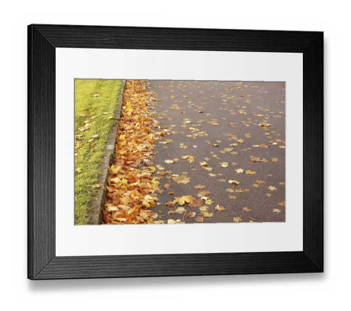 Framed Print : Leaves fallen from Maple Tree, Autumn foliage Golden Yellow leaves