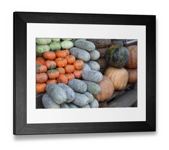 Framed Print : Vegetables Bottle Gourd Botanical name Lagenaria Leucantha Rusby Red pumpkin Botanical name Cucurbita maxima Duch Framed Print : Vegetables Bottle Gourd Botanical name Lagenaria Leucantha Rusby Red pumpkin Botanical name Cucurbita maxima Duch