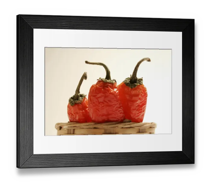 Framed Print : Indian spice in the form of one semi dried red pepper also known as chilly