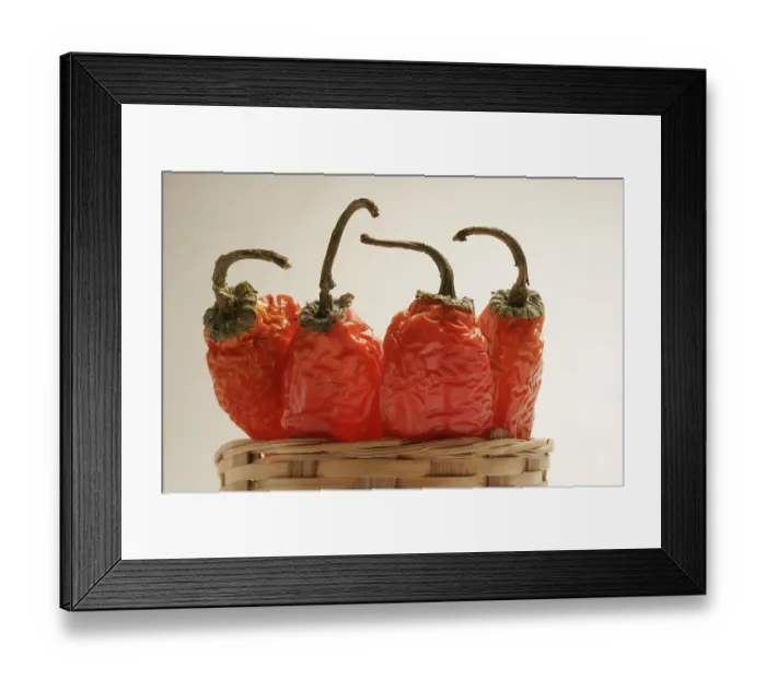 Framed Print : Indian spice in the form of one semi dried red pepper also known as chilly