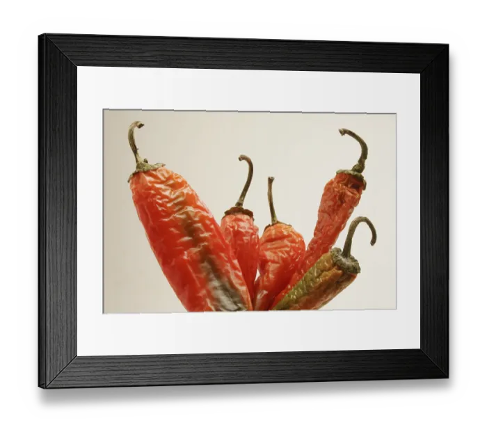 Framed Print : Indian spice in the form of one semi dried red pepper also known as chilly Framed Print : Indian spice in the form of one semi dried red pepper also known as chilly