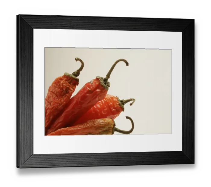 Framed Print : Indian spice in the form of one semi dried red pepper also known as chilly Framed Print : Indian spice in the form of one semi dried red pepper also known as chilly
