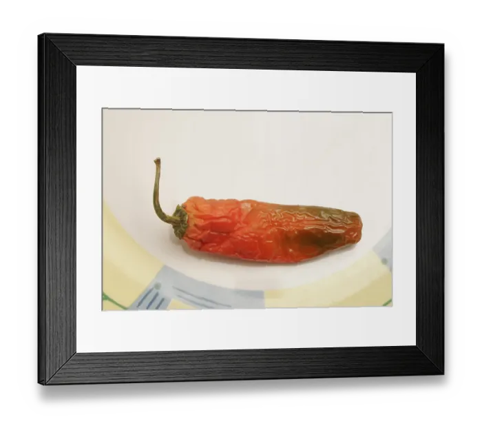 Framed Print : Indian spice in the form of one semi dried red pepper also known as chilly in a plastic plate Framed Print : Indian spice in the form of one semi dried red pepper also known as chilly in a plastic plate