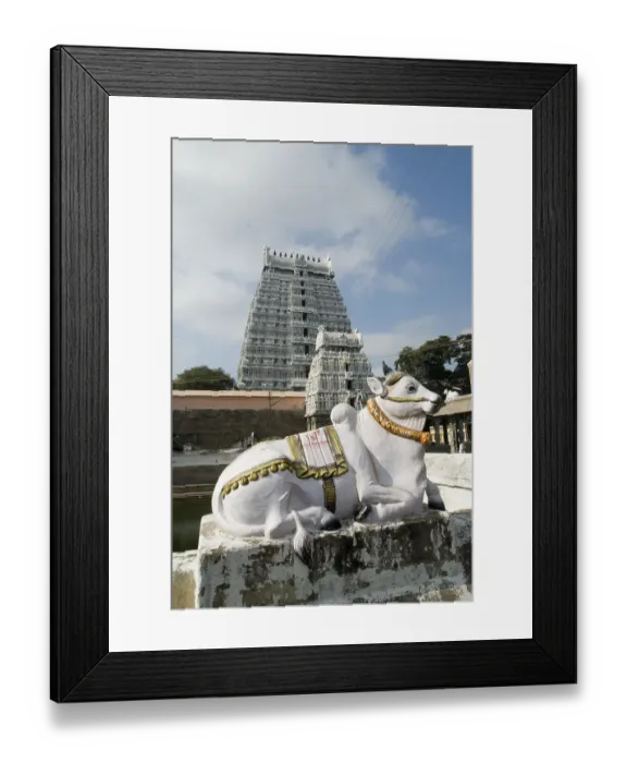 Framed Print : Thiruvannamalai temple, Tamil Nadu, India