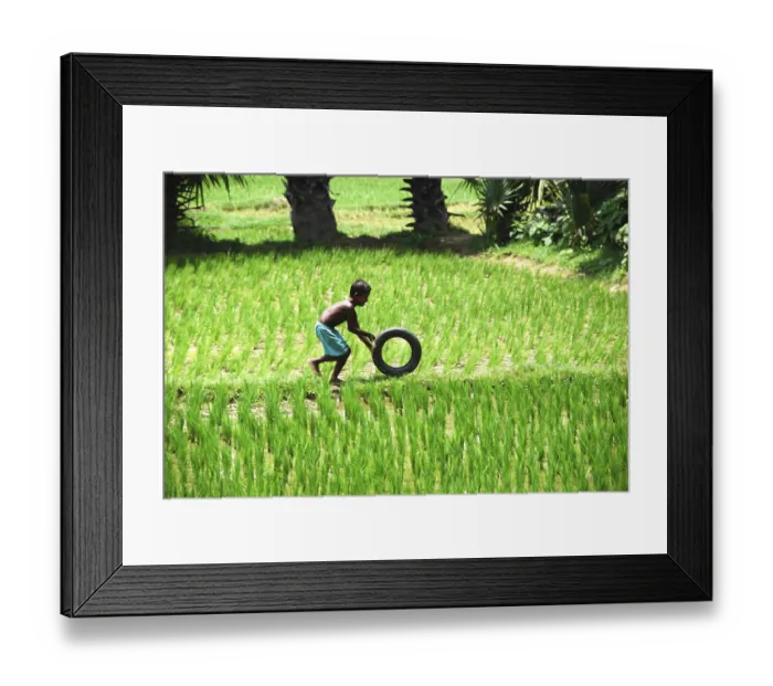 Framed Print : Rural boy playing with tire in rice field
