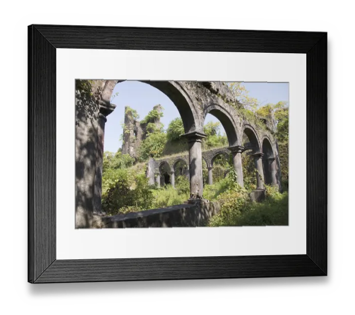 Framed Print : Ruins in Vasai or Bassein fort