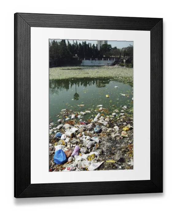 Framed Print : Garbage thrown in to pond in Bombay now Mumbai