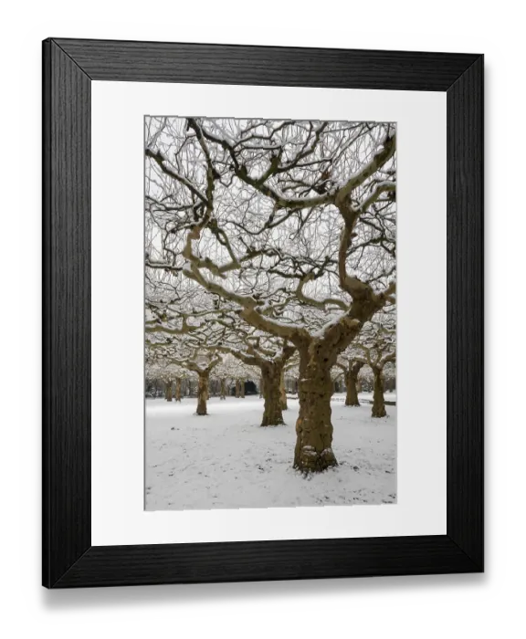 Framed Print : Krefeld, Schonwasserpark, Haus Schonwasser
