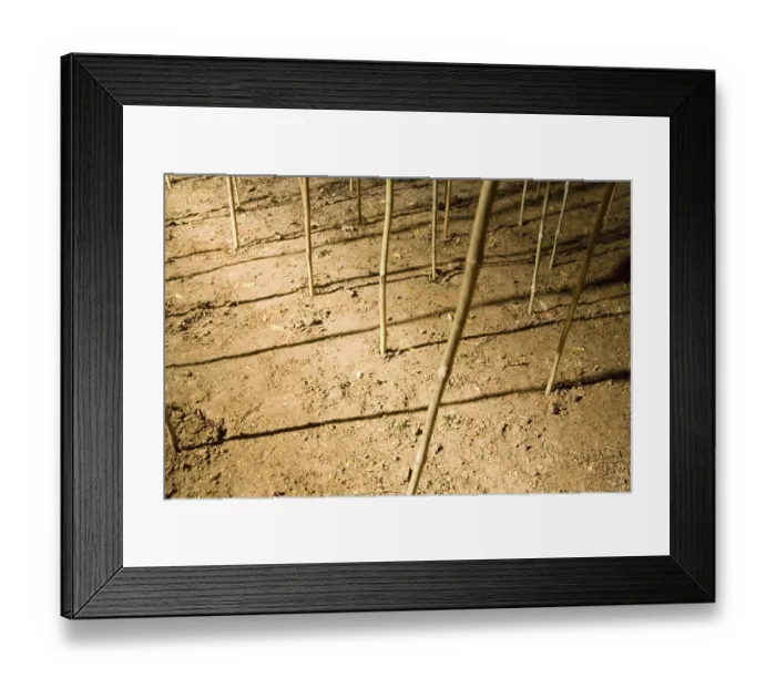 Framed Print : Dry forest Indian contemporary art installation at faculty of fine arts
