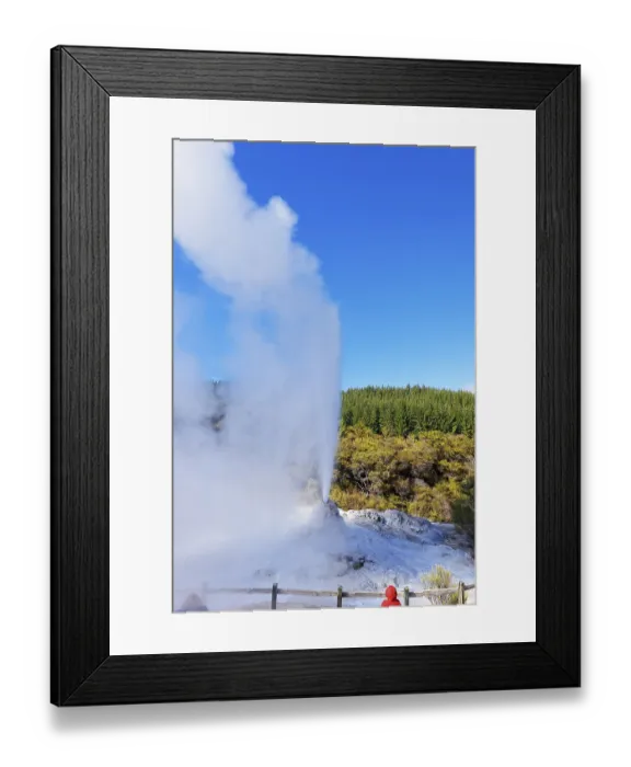Framed Print : Lady Knox Geyser erupting, Waiotapu Thermal Park