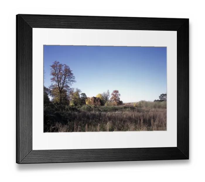 Framed Print : Overgrown landscape garden
