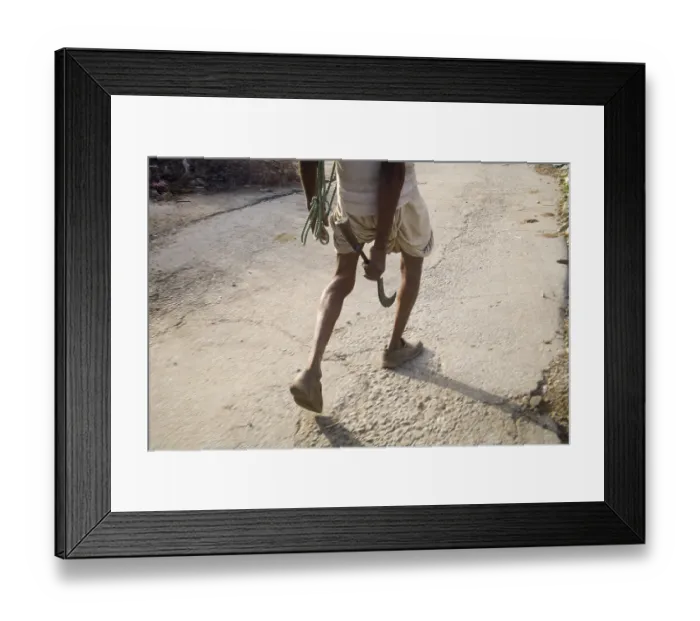 Framed Print : Indian Farmer man walking to the field
