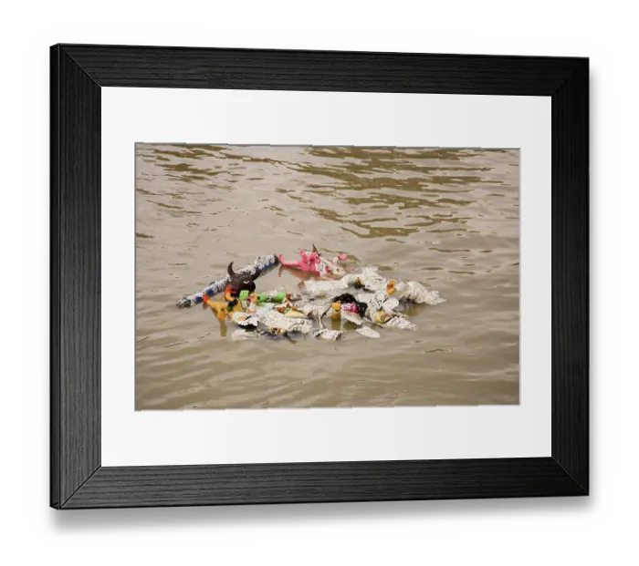 Framed Print : Farewell of the Durga Idol into the water of River Hooghly - Visarjan