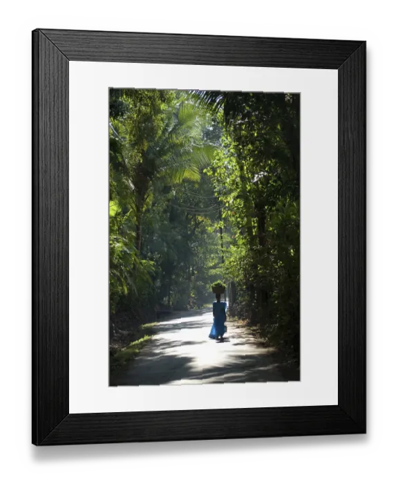 Framed Print : Morning light on road of Anjarle village giving calm and quite feeling Framed Print : Morning light on road of Anjarle village giving calm and quite feeling