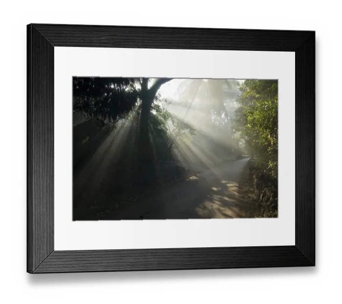 Framed Print : Sunbeams through tree on road at Anjarle village