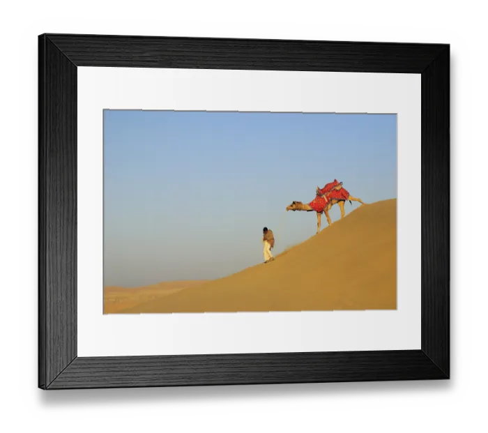 Framed Print : Camel with owner walking down slope of soft sand dunes at Sam