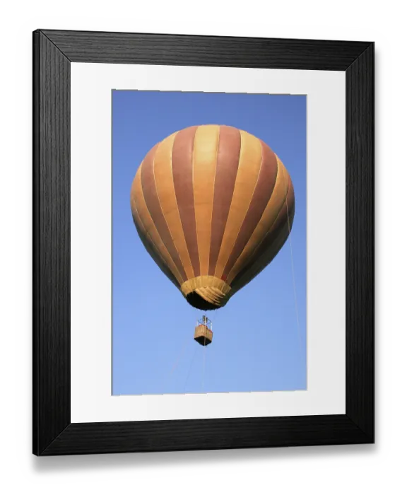 Framed Print : Brown coloured striped hot air balloon flying above sugarcane farms Framed Print : Brown coloured striped hot air balloon flying above sugarcane farms