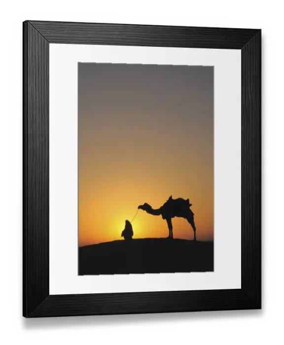 Framed Print : Glorious sunrise man with camel on sand dunes