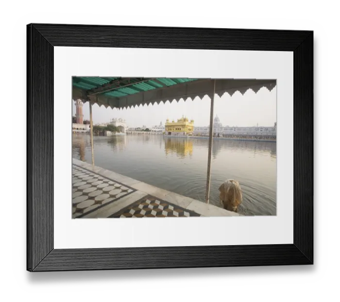 Framed Print : Hari Mandir Sahib, Swarn Mandir Golden temple Framed Print : Hari Mandir Sahib, Swarn Mandir Golden temple