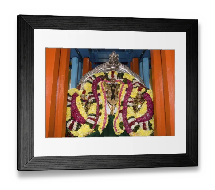 Framed Print : Decorated Urchava deities of Subrahmanya consorts Valli Devayanai Deivanai Karthigai Arunachaleshwara temple