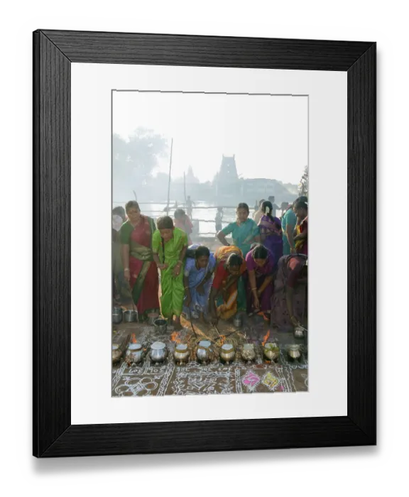 Framed Print : Women celebrating Pongal festival in Tamil Nadu Framed Print : Women celebrating Pongal festival in Tamil Nadu