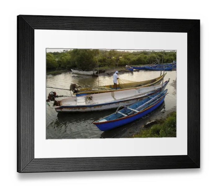 Framed Print : Fishing boats in sea near Pichavaram mangrove forest