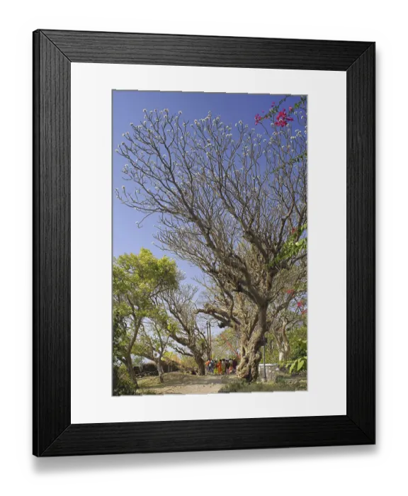 Framed Print : Birthplace of Shivaji Maharaj, heritage Shivneri fort