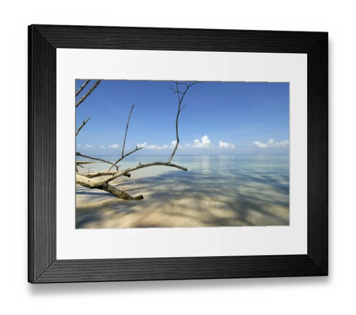 Framed Print : Radhanagar beach, Havelock Islands
