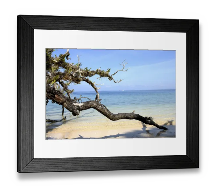 Framed Print : Radhanagar beach, Andaman Islands Framed Print : Radhanagar beach, Andaman Islands