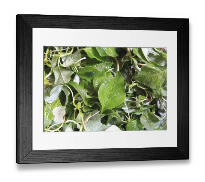 Framed Print : Vegetable, chauli leaves