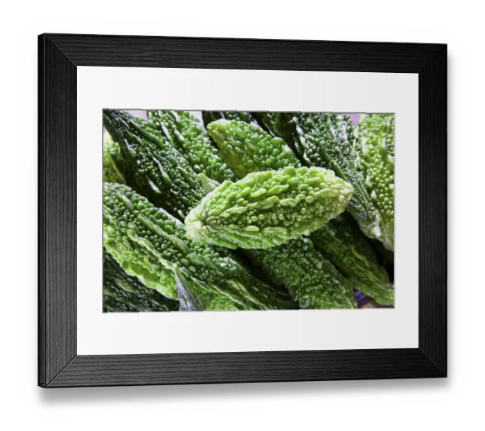 Framed Print : Green vegetable, karela bitter gourd momordica charantia