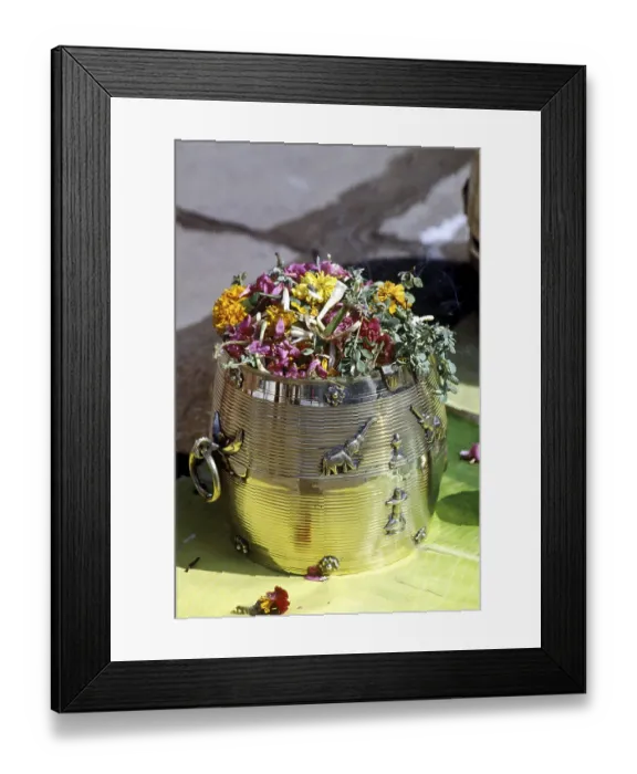 Framed Print : Para offering one full measure of paddy to lord in Pooram festival in Thrissur Trichur