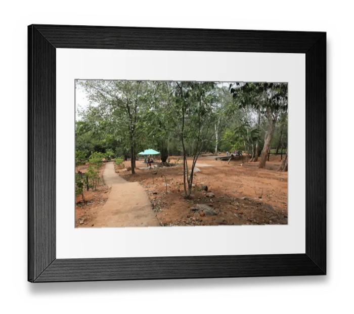 Framed Print : Indira gandhi zoological park, Vishakhapatnam